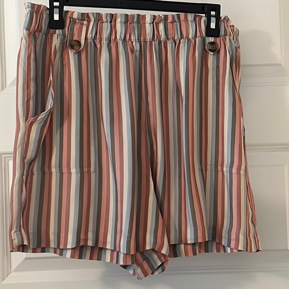 American Eagle Outfitters Pants - Striped shorts XL EUC